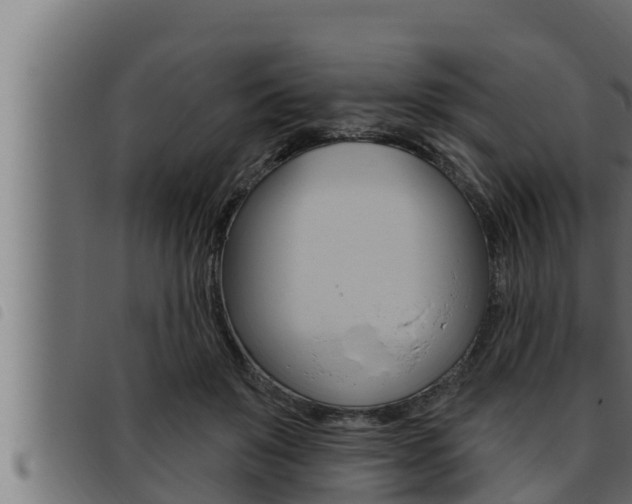 X0000093470503200710121014