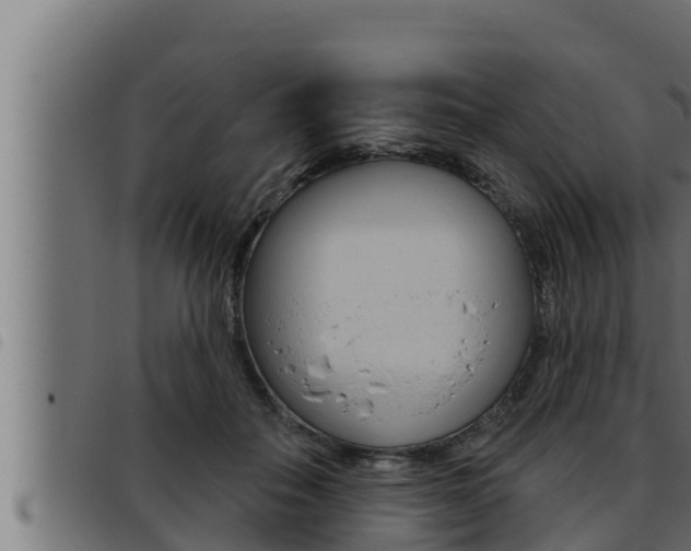 X0000093470506200710121013