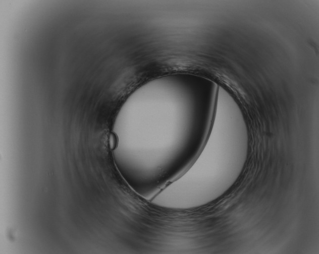 X0000093470509200710121013