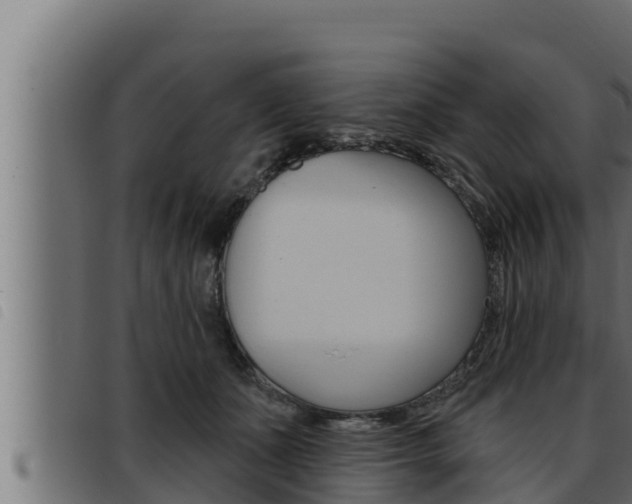 X0000093470511200710121013