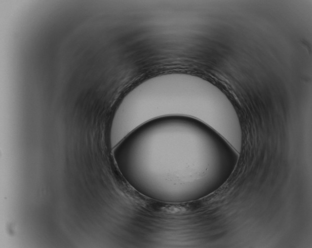 X0000093470512200710121013