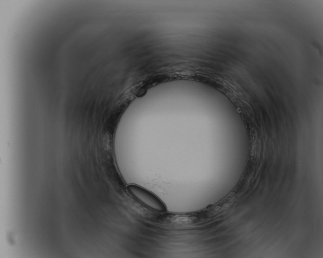 X0000093470518200710121013