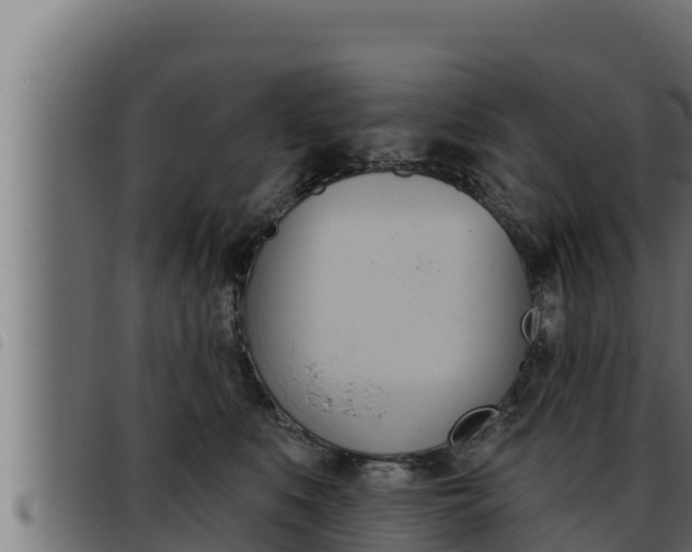 X0000093470519200710121013