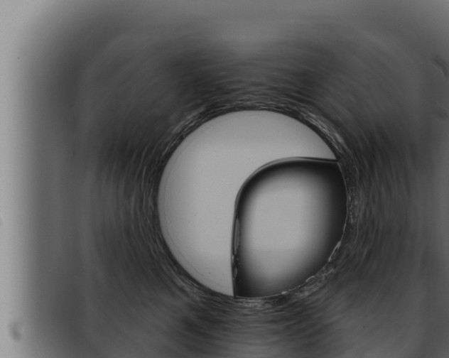 X0000093470521200710121013