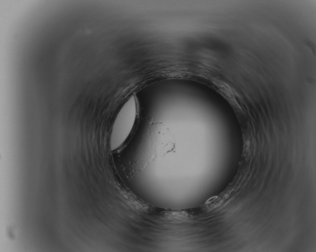 X0000093470525200710121013