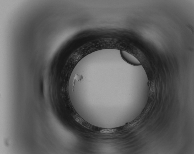 X0000093470526200710121013