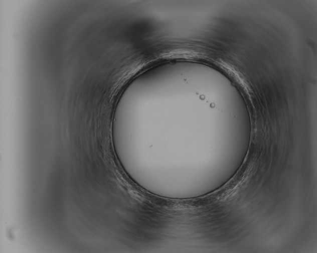 X0000093470529200710121013