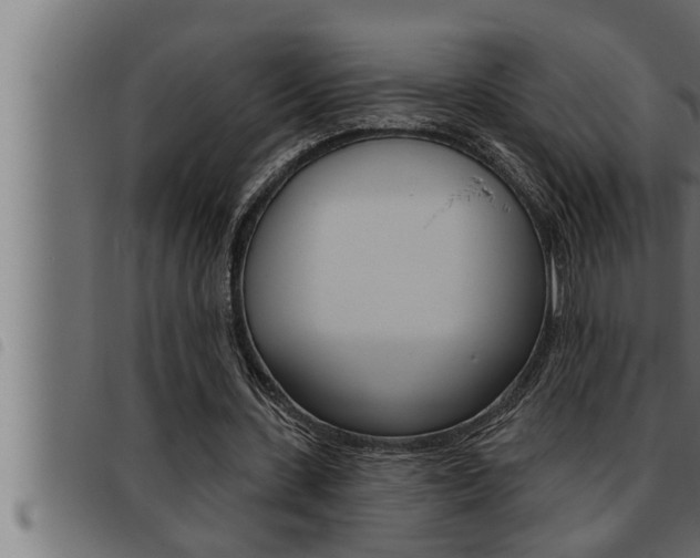 X0000093470531200710121013