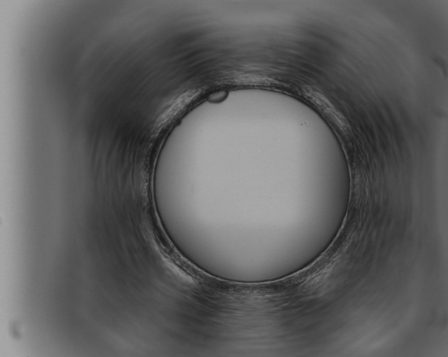 X0000093470533200710121013