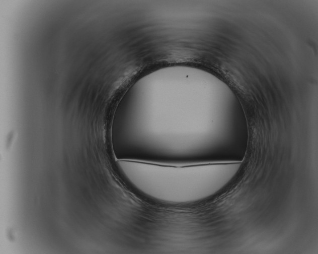 X0000093470539200710121013