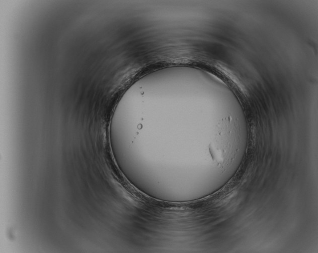 X0000093470541200710121013