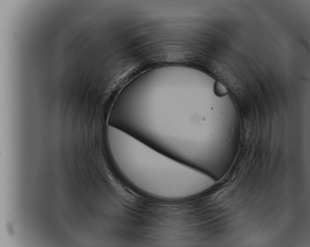 X0000093470542200710121013