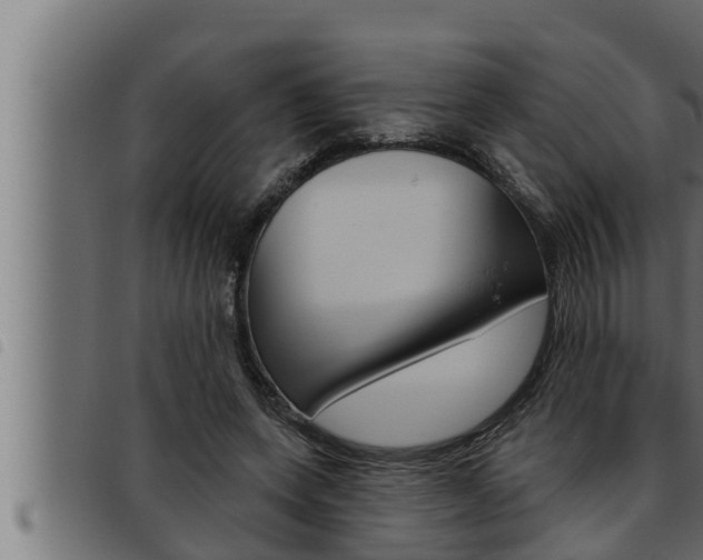 X0000093470543200710121013