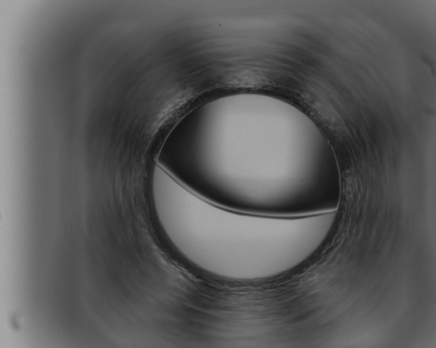 X0000093470544200710121013