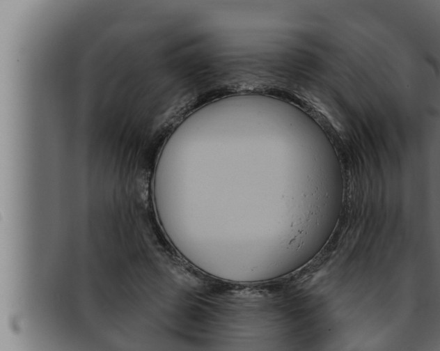 X0000093470545200710121013