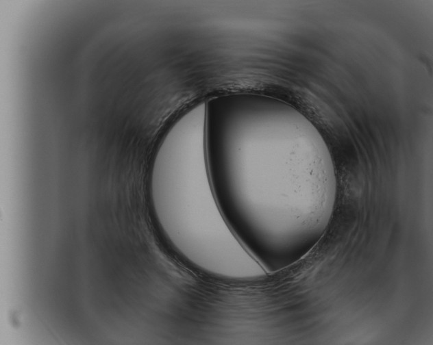 X0000093470546200710121013