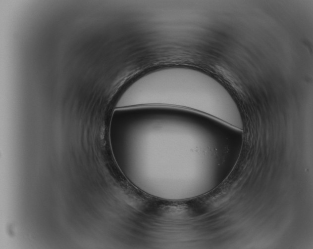 X0000093470548200710121013