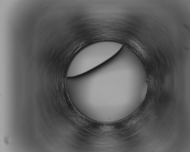 X0000093470549200710121013