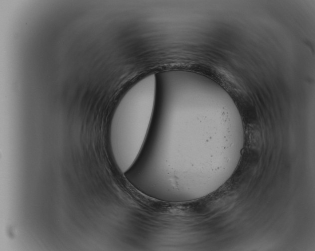 X0000093470550200710121013