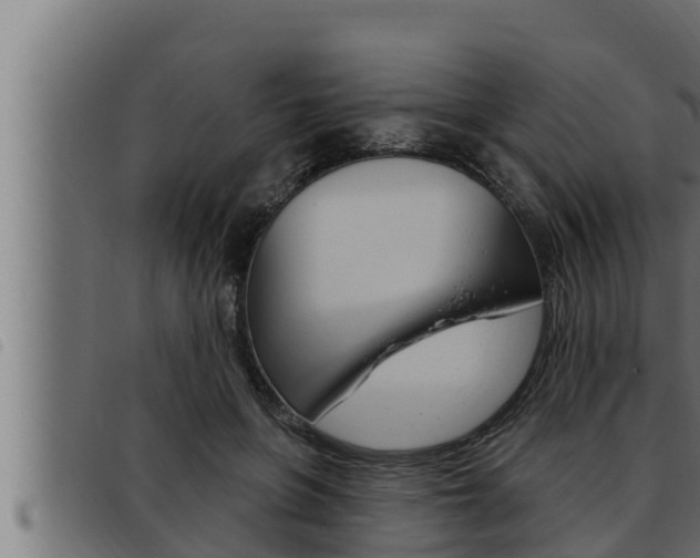 X0000093470551200710121013