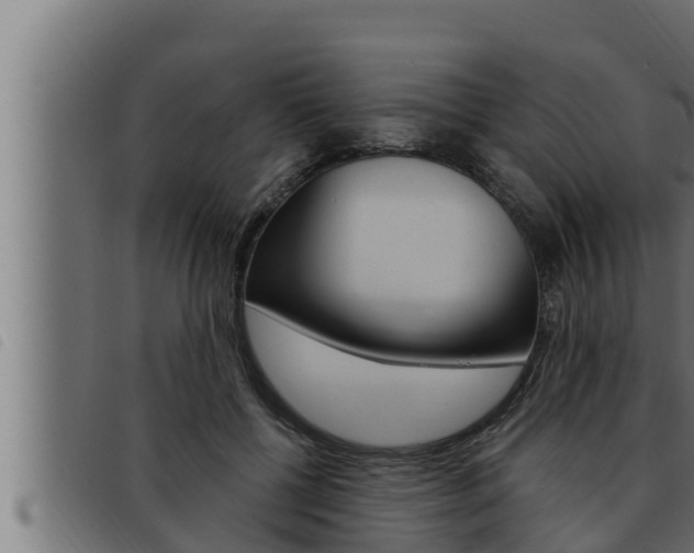 X0000093470552200710121013