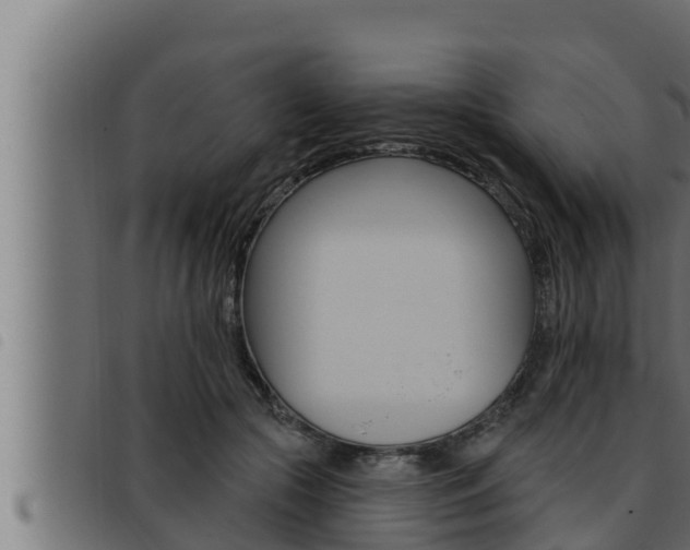 X0000093470553200710121013