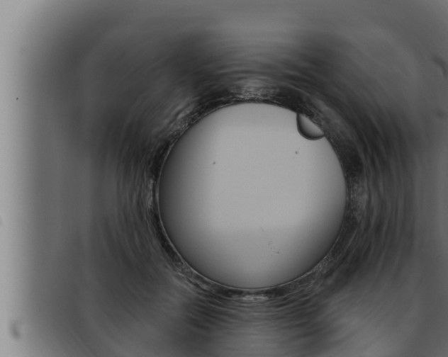 X0000093470554200710121013