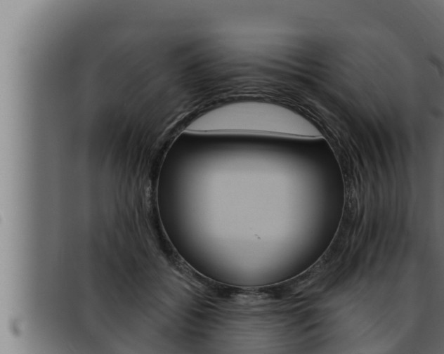 X0000093470556200710121013