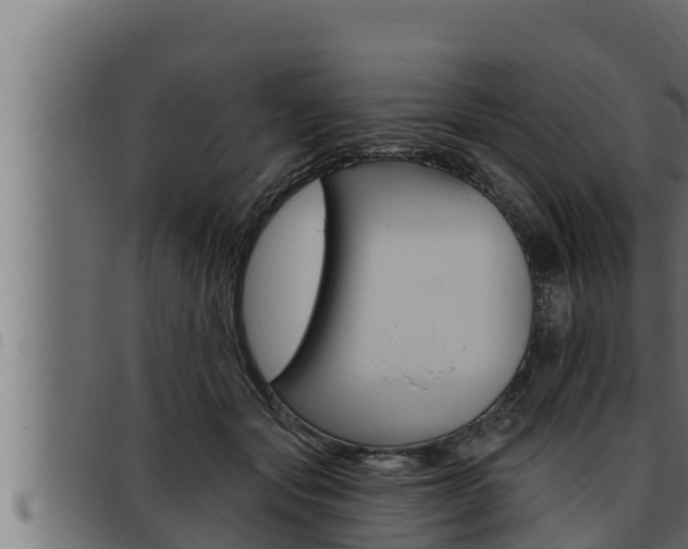 X0000093470557200710121013