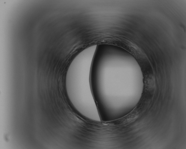 X0000093470558200710121013