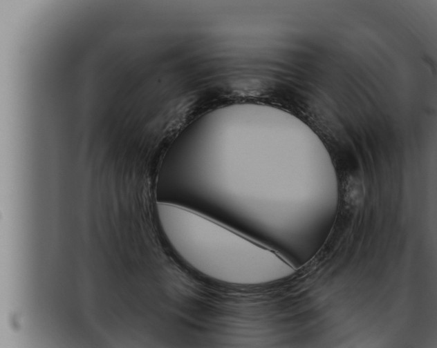 X0000093470559200710121013