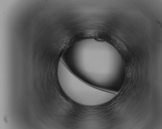 X0000093470560200710121013
