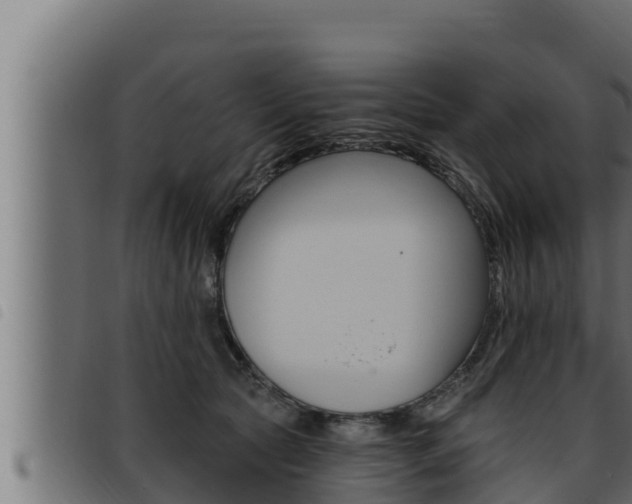 X0000093470561200710121013