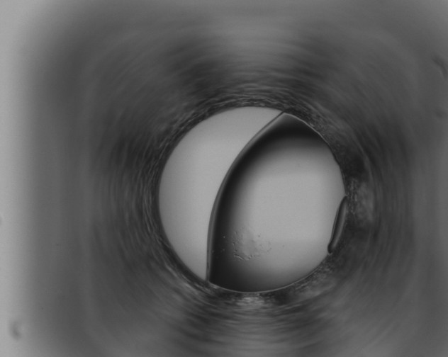 X0000093470562200710121013