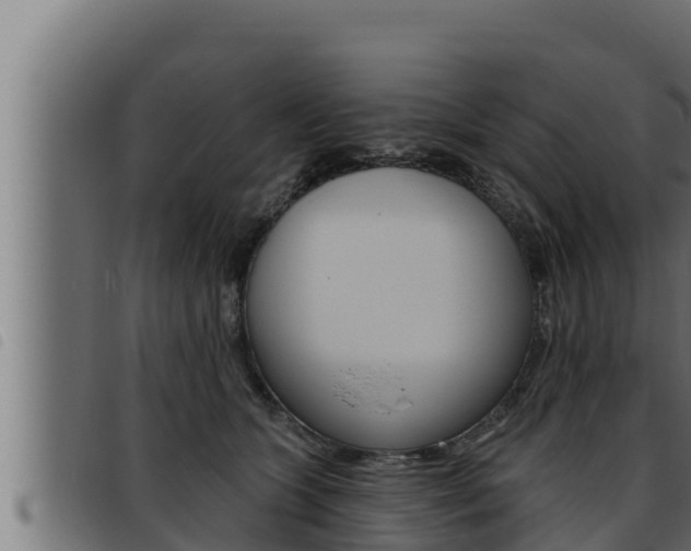 X0000093470563200710121013