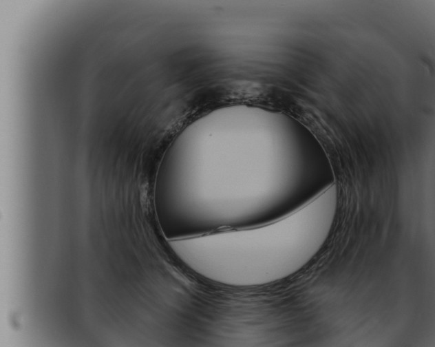 X0000093470564200710121013