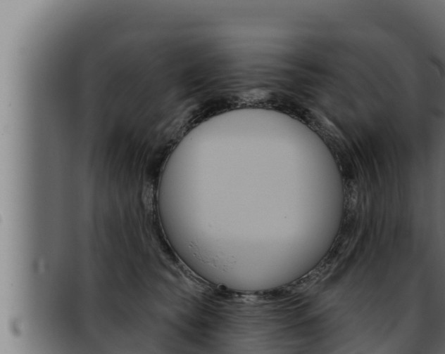 X0000093470565200710121013
