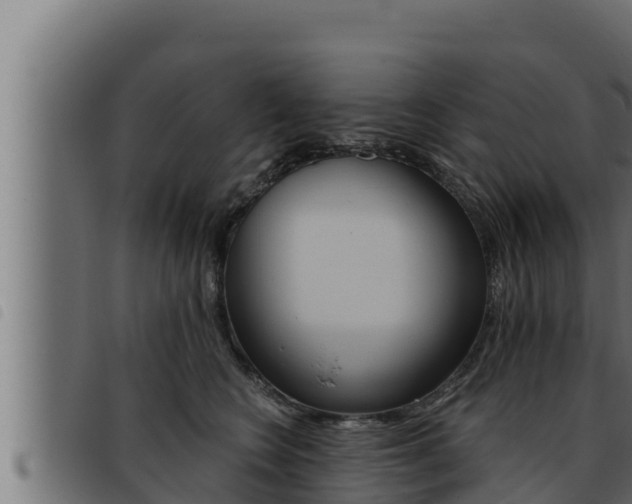 X0000093470566200710121013