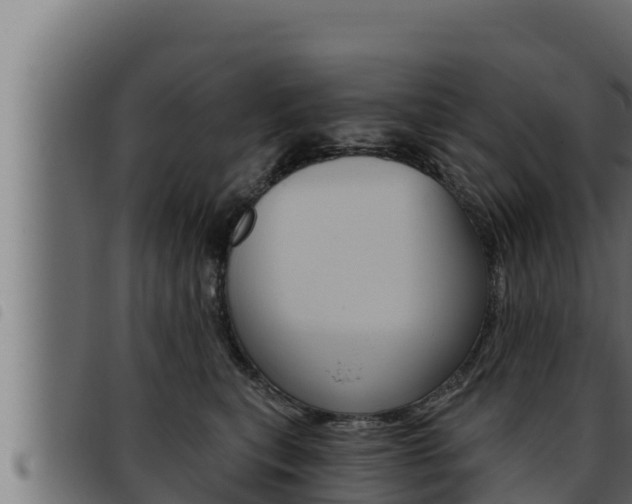 X0000093470567200710121013