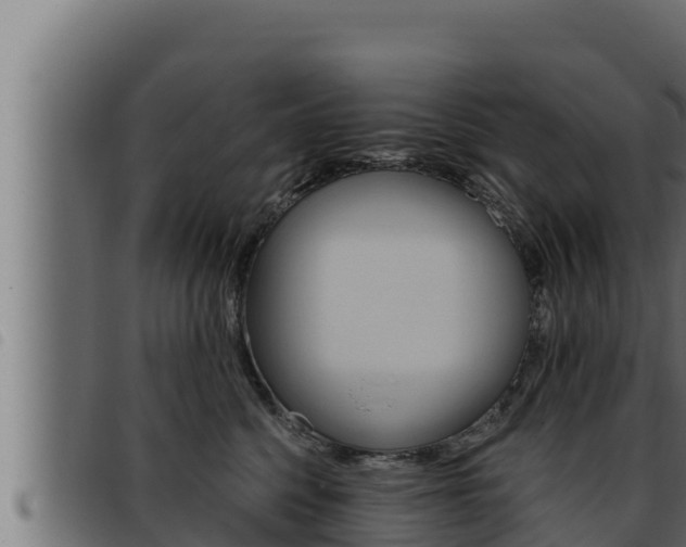 X0000093470568200710121013