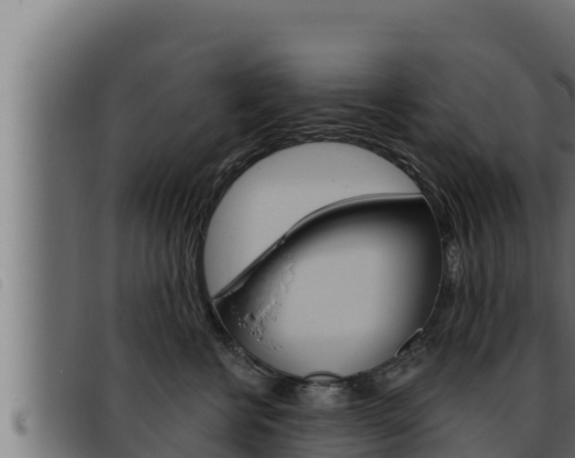 X0000093470570200710121013