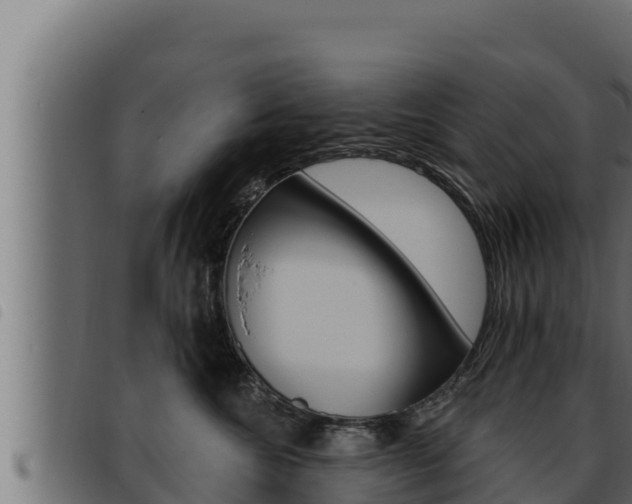 X0000093470572200710121013