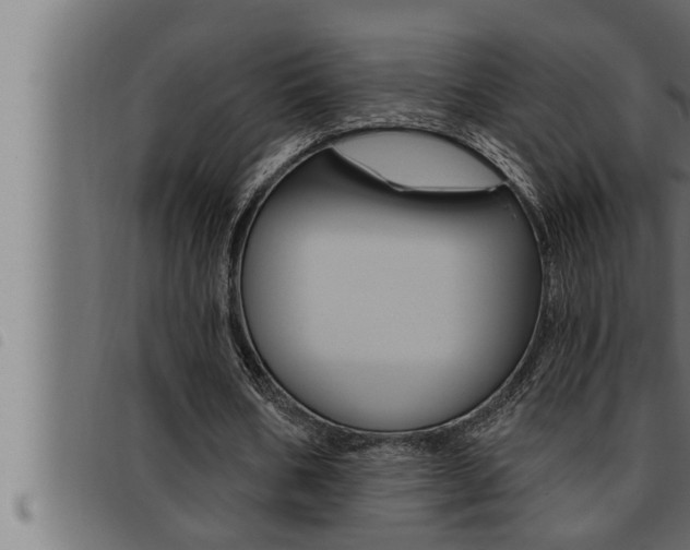 X0000093470578200710121013