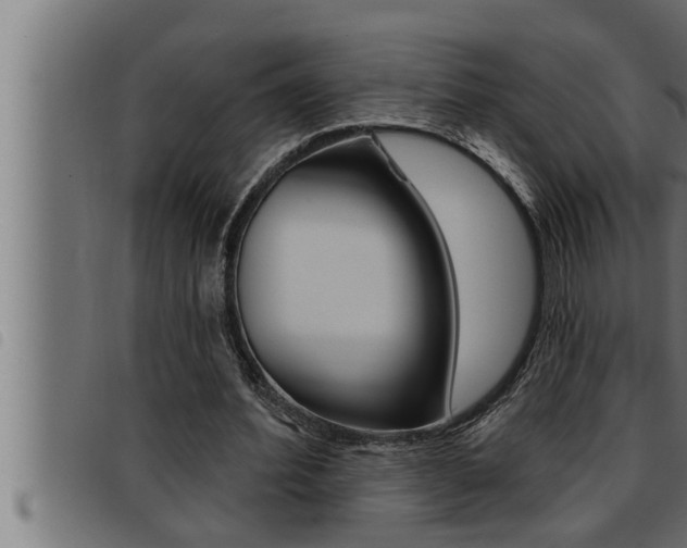 X0000093470580200710121012