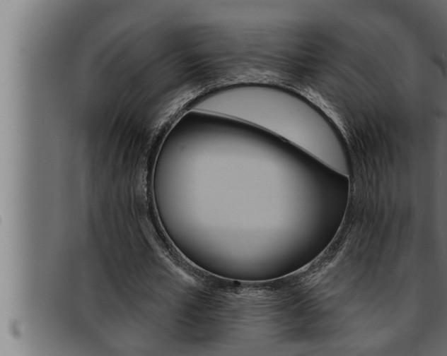 X0000093470581200710121012