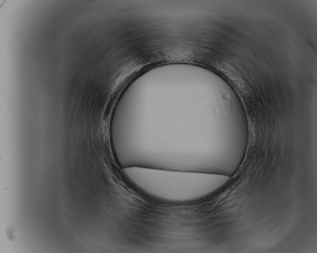 X0000093470583200710121012