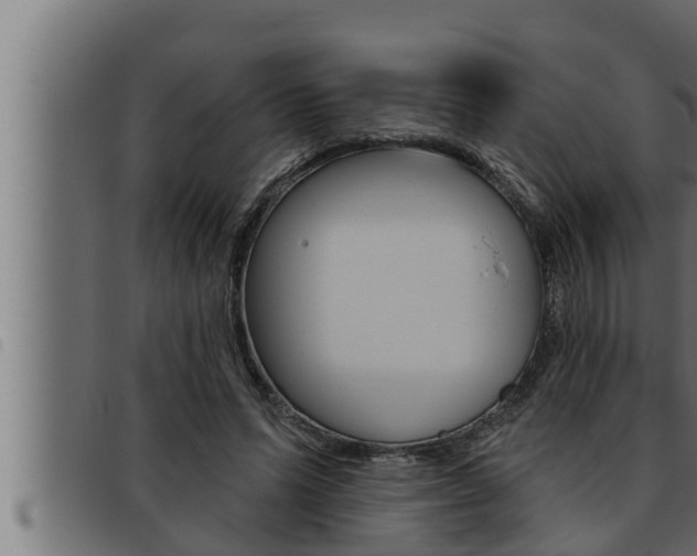 X0000093470591200710121012