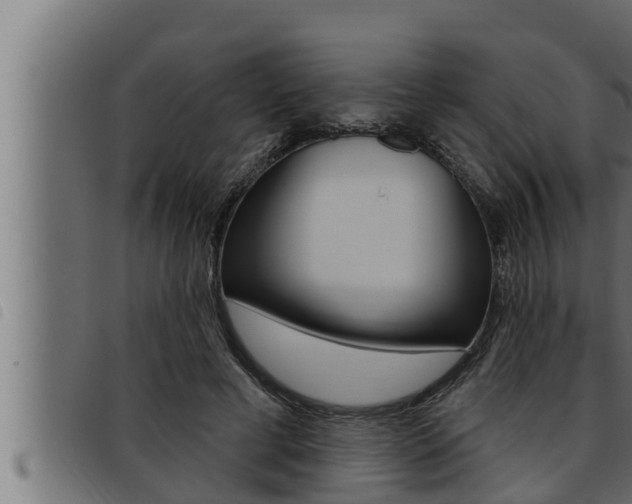 X0000093470593200710121012