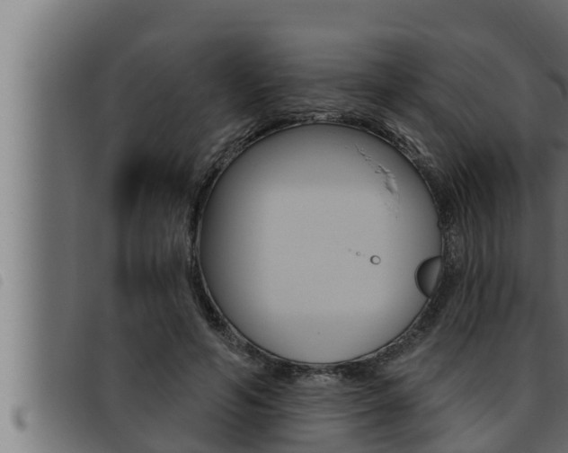 X0000093470594200710121012