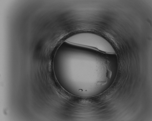 X0000093470596200710121012